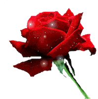 rose STICKER