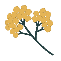 Illustration Flower Sticker