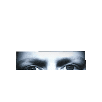 Looking I See You Sticker