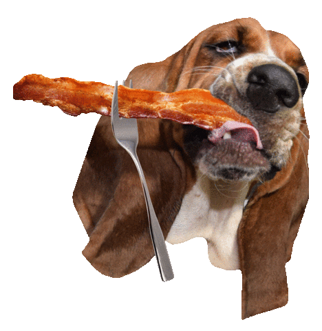 happy basset hound Sticker