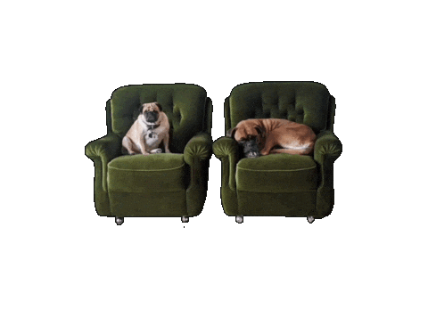 Sticker Dogs Sticker