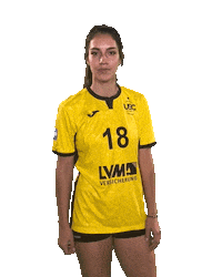 USC_Muenster lets go ball volleyball vbl Sticker