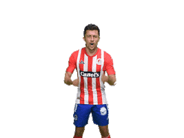 Soccer Goal Sticker by Atlético de San Luis