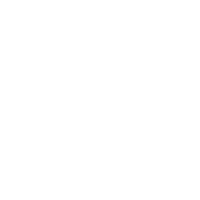 Chinese New Year 新年 Sticker