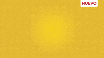 nestlecam  GIF