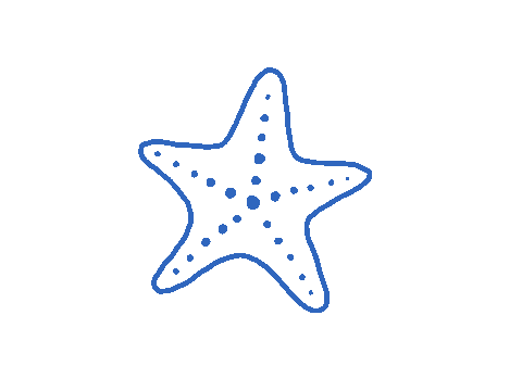 Seestern Sticker by Lisawebdesign