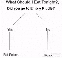 Florida Riddle GIF