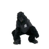 HurlingHatchet dance party dancing weekend Sticker