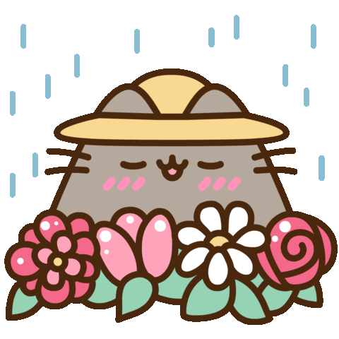Happy Rainy Day Sticker by Pusheen