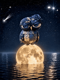 Good Night GIF