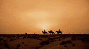 John Wayne Westerns GIF by Coolidge Corner Theatre