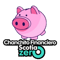 Scotiabankcl digital dinero finanzas joven Sticker
