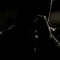 Look Around Turn GIF by Feeder