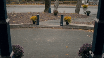 Arrive Here I Am GIF by Blue Ice Pictures