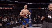 ufc 210 GIF