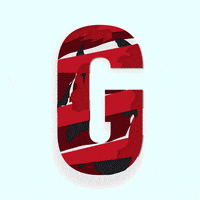 geystagency design branding geyst teamgeyst GIF