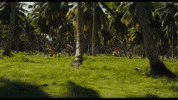 Punk Rock Film GIF by Los Frikis Movie