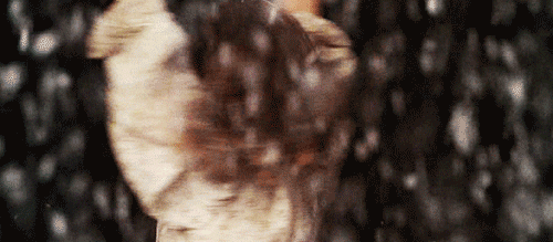 a little princess spinning GIF
