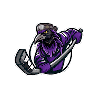 CasperWarbirds hockey casper wyoming warbirds Sticker