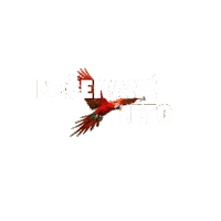 Barbora Poláková Nečekané Léto Sticker by falconfilmovenovinky
