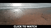 Drone GIF by AirVuz