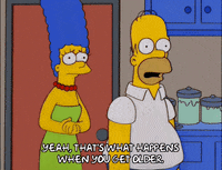 homer simpson GIF
