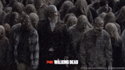 foxnederland  GIF