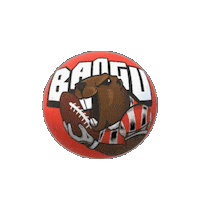 Futebol Americano Sticker by Bangu Castores FA