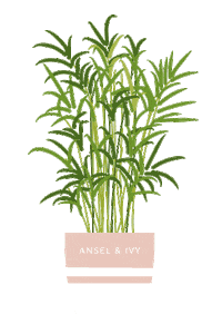 plants palm Sticker by Ansel & Ivy