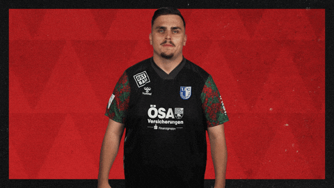 Fc Magdeburg Football GIF by Bundesliga
