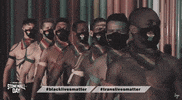 Pride Stonewall GIF