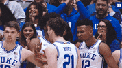 Ncaa Sports College GIF by Duke Men's Basketball