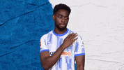 Bundesliga Berlin GIF by Hertha BSC