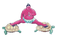 Tortoise Sumo Sticker by Gifes Con Ensalada