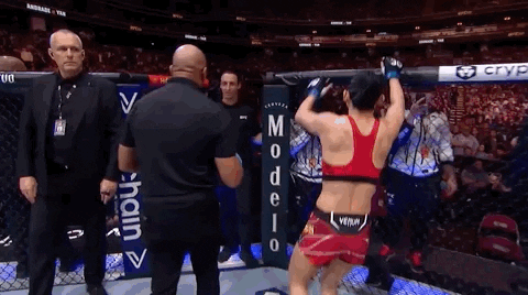 Other Side Sport GIF by UFC