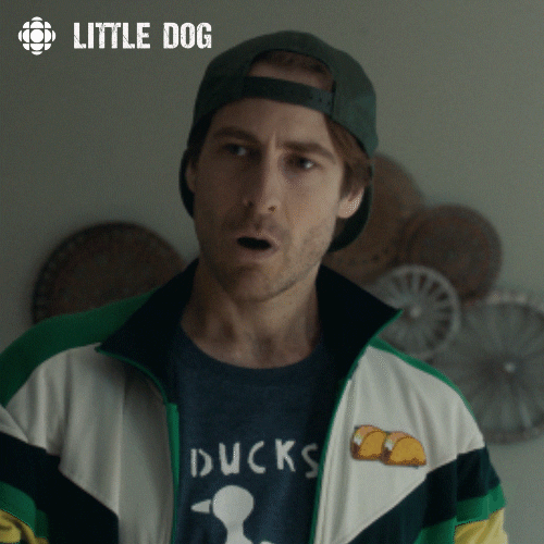 dog wow GIF by CBC