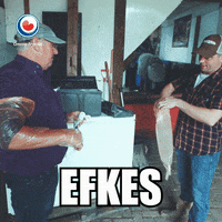 frysk boer GIF by Omrop Fryslân