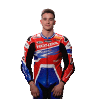 Happy Honda Sticker by WorldSBK