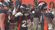 Denver Broncos Football GIF by NFL