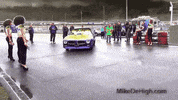 purge GIF