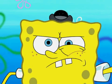 season 5 GIF by SpongeBob SquarePants