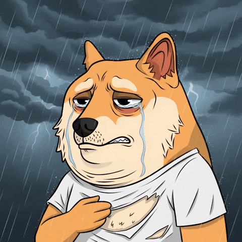 Sad Shiba Inu GIF by Doge Pound
