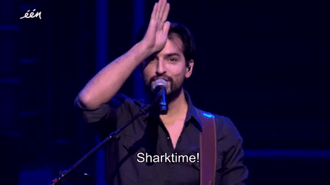 spring sharktime GIF by vrt