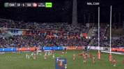 Nrl GIF by Canberra Raiders