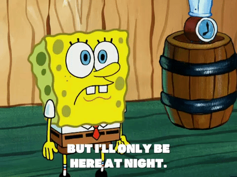 season 5 new digs GIF by SpongeBob SquarePants