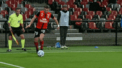 Grenoble GIF by EA Guingamp
