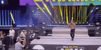 Chris Jericho Aew On Tnt GIF by All Elite Wrestling on TNT