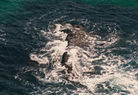 High Tide