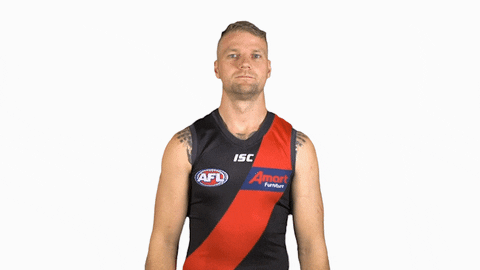 essendonfc giphyupload jake dons bombers GIF