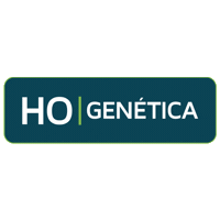 seedcorp agro agricultura soja agronegocio Sticker